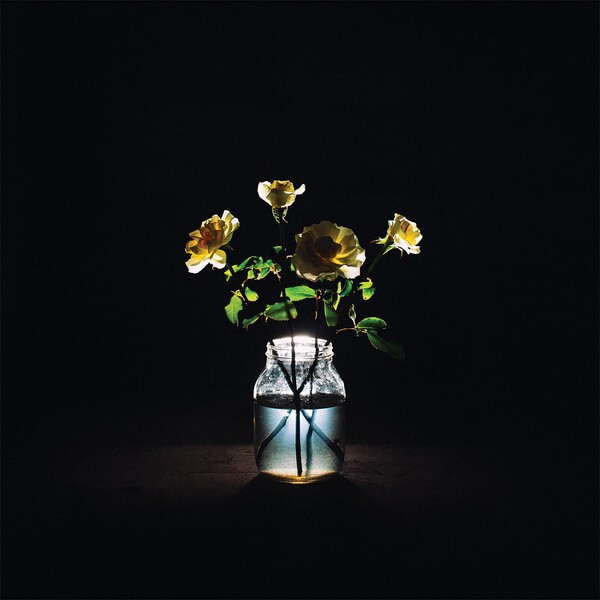 Billy Strings Hellbender Lyrics and ratings Rate Your Music